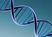 Quiz Sciences : l'ADN en gnral !