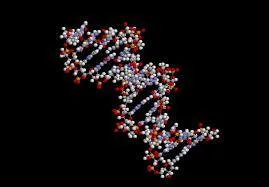 Voici une s&eacute;quence nucl&eacute;otidique d'un brin de la mol&eacute;cule d'ADN : CGATCGATGGCTAGAG.Trouvez, parmi les r&eacute;ponses, ce qui sera la s&eacute;quence nucl&eacute;otidique de l'autre brin.