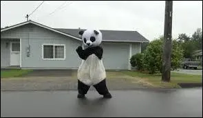 Keke rangeait les valises de nos sauveurs lorsqu'il tomba nez-à-nez avec Pikmin, un panda chanteur. Pikmin ouvre grand la gueule et s'apprête à chanter "Tous les cris les SOS". Sur la Terre, quel chanteur écrit cette chanson ?