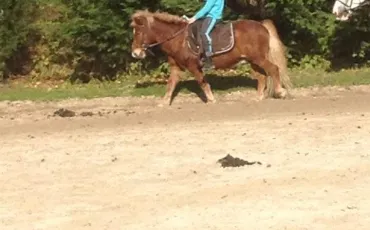 Quiz Galop 1