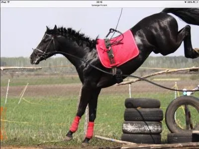 Qu'est-ce que le CSO ?