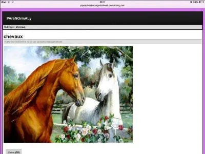 Qu'est-ce qu'un étalon ?