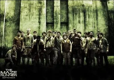 Comment s'appelle la partie du labyrinthe où les adolescents vivent ?