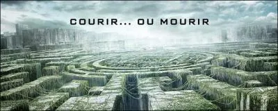 Comment se surnomment les adolescents enfermés dans le labyrinthe ?