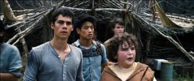 Pourquoi sont-ils enfermés dans le labyrinthe ?