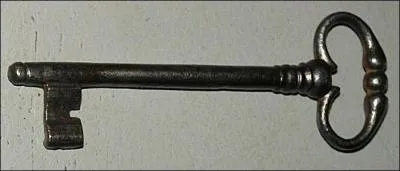 On dit que cette clé a un anneau en forme de/d' -------.