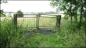 Et comme cette profonde pensée donne envie de se soustraire aux jugements négatifs, c'est avec plaisir que je vous propose de prendre ---------.