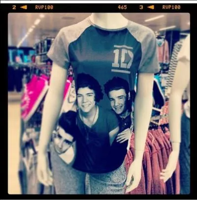 Qui est le seul Irlandais dans le groupe ?