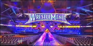 Cette année, Wrestlemania XXX s'est déroulé ...