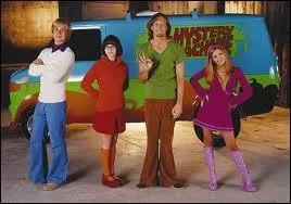 "Scooby-Doo", célèbre dessin animé des années 70-80, a connu une adaptation sur grand écran en 2002. Lequel de ces acteurs n'est pas présent au casting ?