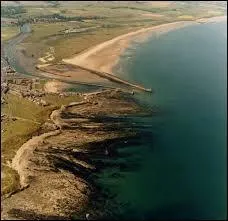 Qu'est-ce que l'amble ?