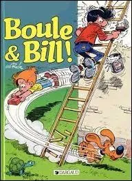 Que manque-t-il sur l'image ?