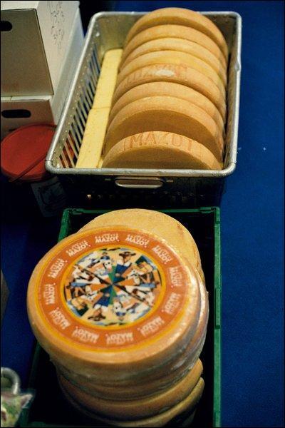 Quel est ce fromage ?