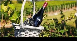 Ce soir, j'amène une bouteille de vin de Bourgogne. Est-ce correct ?
