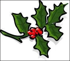 Pourquoi le houx est-il devenu une décoration de Noël ?