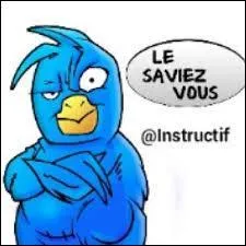 Que peut bien être un "aptonyme" ?