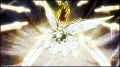 Tout au long de nombreuses batailles difficiles, Erza a pu faire apparaître _____ épées avec son armure _____ .