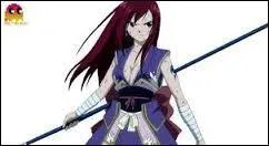 Quelle est cette armure ?