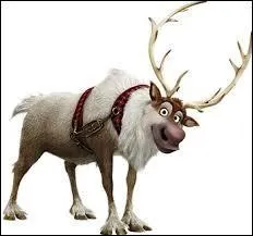 Qui ce renne ?