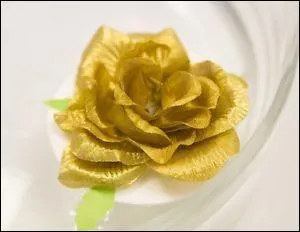 Céréale dont les épis portent de longues barbes :