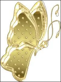 Écorce d'orange hachée finement et confite :