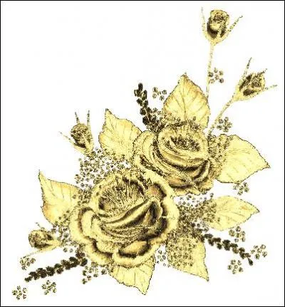 Courbe décrite par un corps céleste en mouvement autour d'un autre :