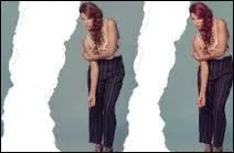 Que voit-on souvent dans le clip ?