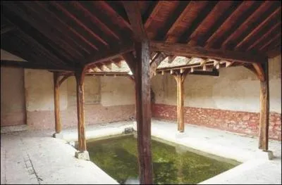 "À chaque sortie ou à chaque retour du troupeau, tous les animaux sont obligés de passer dans le pédiluve". Par quel mot pouvez-vous remplacer "pédiluve" ?