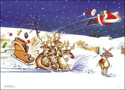 La tradition du sapin de Noël remonterait à 1510. Riga revendique le fait d'avoir été la première ville à dresser un sapin décoré. Cela se serait donc passé...