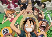 Quiz One Piece (3)