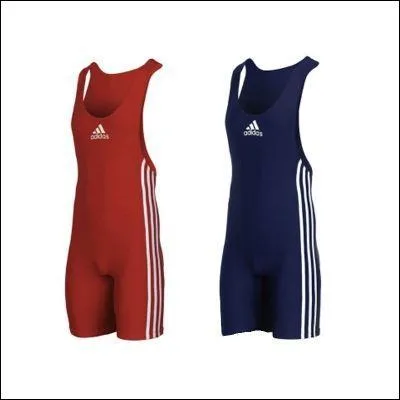 Dans quel sport porte-t-on ces maillots ?