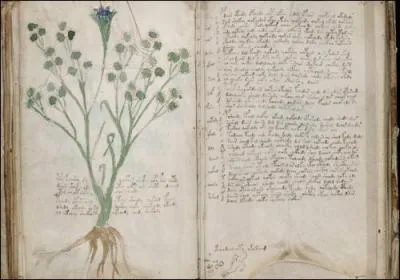 Quel est le nom de ce mystérieux manuscrit de 230 pages, sans titre et anonyme, rédigé entre 1404 et 1438, de haut en bas, de gauche à droite avec des lettres et des chiffres mystérieux ressemblant étrangement aux nôtres et non décryptés à ce jour ?