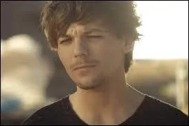 Que représente Louis dans Steal my girl ?