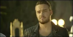 Que représente Liam dans Steal my girl ?