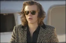 Que représente Harry dans Steal my girl ?