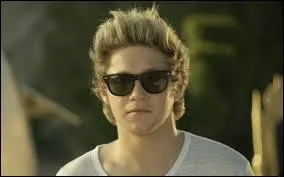 Que représente Niall dans Steal my girl ?