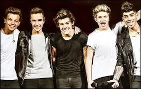 Comment s'appelle le film des One Direction ?
