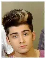 Quelle est la couleur des yeux de Zayn ?