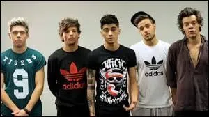 Comment s'appelle la prochaine tournée des One Direction ?