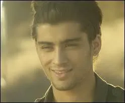 Que représente Zayn dans Steal my girl ?