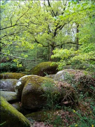 Quel est ce lieu de G&acirc;tine qui a un faux air de Huelgoat ?