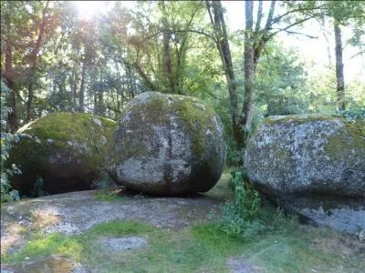 Dans notre G&acirc;tine, comment appelle-t-on ces gros blocs de pierre plus o&ugrave; moins arrondis r&eacute;sultant de la d&eacute;sagr&eacute;gation de la roche granitique ?