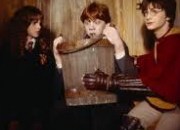 Quiz Harry Potter et la chambre des secrets (Chapitre 7))