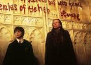 Quiz Harry Potter et la chambre des secrets (Chapitre 8)