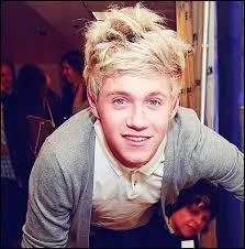 Niall pleure toujours devant 2 films, une de ces propositions a été le contraire : il s'y est endormi. Laquelle ?