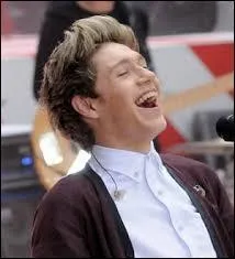 Dans une vidéo sur les scènes coupées de "Kiss You", Niall tient un étrange objet. Qu'est-ce que c'est ?