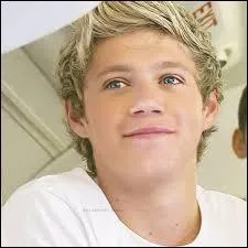 Quelle chanson Niall a-t-il écrite seul parmi ces propositions :