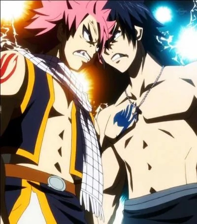 Qui est le rival juré de Natsu ?