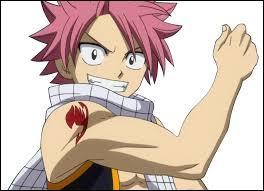 Quiz Fairy tail