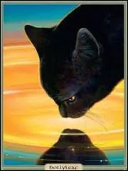 Quel est le nom de guerrier de Nuage de Houx ?